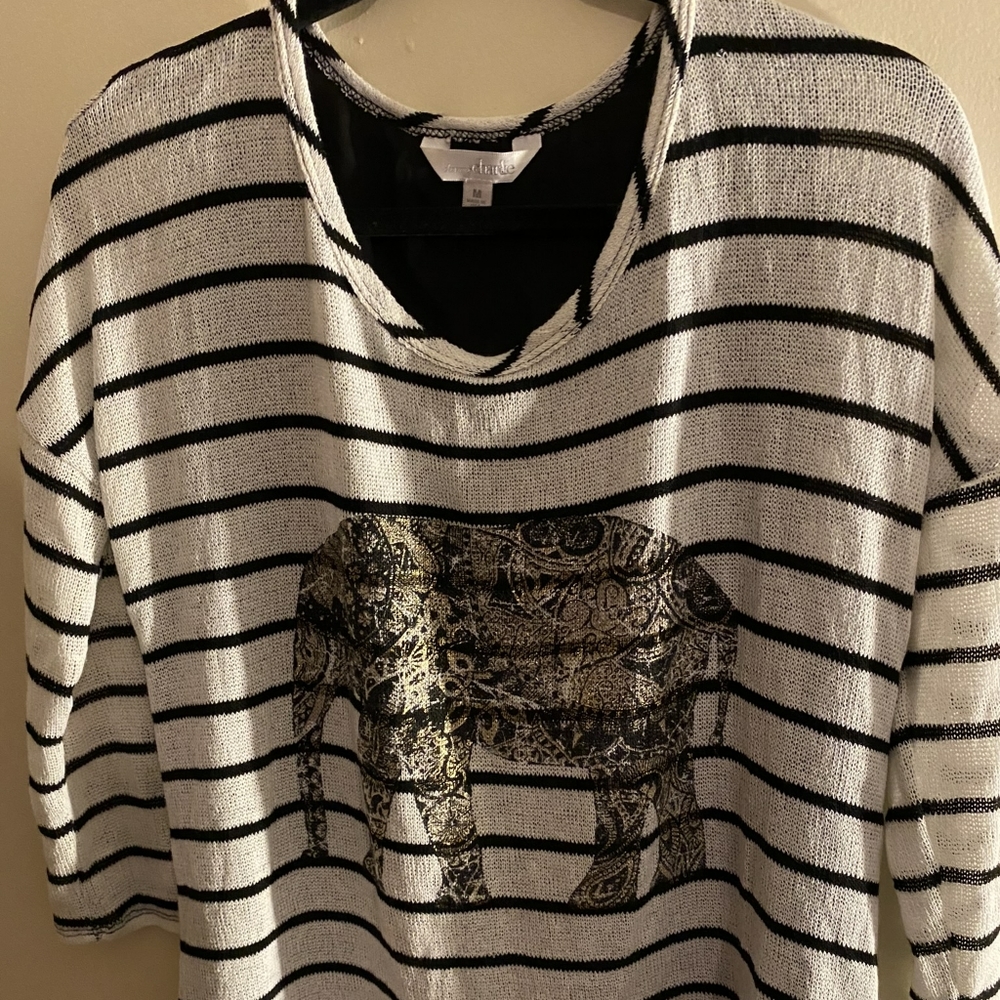 Classy Charlies light sweater